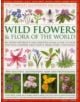 Complete Illustrated Encyclopedia of Wild Flowers & Flora of the World - 9780857233592-thumb