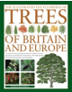 The Illustrated Encyclopedia of Trees of Britain and Europe - 9780857236456-thumb