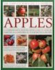 The Complete World Encyclopedia of Apples - 9780857238658-thumb