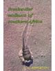 Freshwater Molluscs of Southern Africa - 9780869809198-thumb