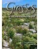 Grasses of the Intermountain Region - 9780874217650-thumb