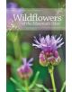 Wildflowers of the Mountain West - 9780874218954-thumb