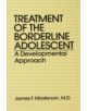 Treatment Of The Borderline Adolescent - 9780876303948-thumb