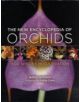 New Encyclopedia of Orchids - 9780881928761-thumb