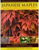 Japanese Maples - 9780881929324-thumb