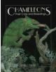 Chameleons - 9780888393531-thumb