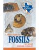 A Field Guide to Fossils of Texas - 9780891230441-thumb