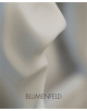 Blumenfeld - 9780956120403-thumb