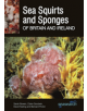 Sea Squirts and Sea Sponges of Britain and Ireland - 9780995567382-thumb