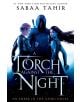 A Torch Against the Night-thumb