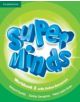 Super Minds Level 2 Workbook with Online Resources - 9781107482975-thumb