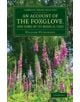 An Account of the Foxglove, and Some of its Medical Uses - 9781108075862-thumb