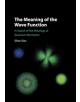 The Meaning of the Wave Function - 9781108464239-thumb