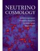 Neutrino Cosmology - 9781108705011-thumb