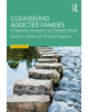 Counseling Addicted Families - 9781138779754-thumb