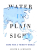 Water in Plain Sight - 9781250069917-thumb