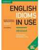 English Idioms in Use Advanced Book with Answers - 9781316629734-thumb