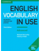 English Vocabulary in Use: Advanced Book with Answers - 9781316631171-thumb