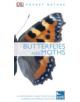 Butterflies and Moths - 9781405349956-thumb