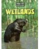 Wetlands - 9781406239980-thumb