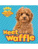 Meet Waffle! - 9781407198293-thumb