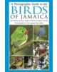 A Photographic Guide to the Birds of Jamaica - 9781408107430-thumb