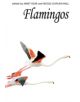 Flamingos - 9781408137505-thumb