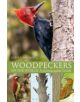 Woodpeckers of the World - 9781408147153-thumb