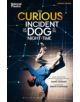 The Curious Incident of the Dog in the Night-Time - 9781408173350-thumb