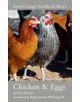 Chicken & Eggs - 9781408817919-thumb