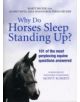 Why Do Horses Sleep Standing Up? - 9781409117360-thumb