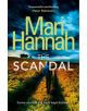 The Scandal - 9781409174097-thumb