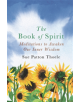 The Book of Spirit - 9781409177807-thumb