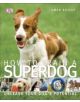 How To Train A Superdog - 9781409349808-thumb