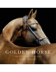 Golden Horse - 9781419713910-thumb