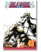 Bleach, Vol. 45-thumb