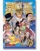 One Piece, Vol. 75-thumb