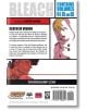 Bleach (3-in-1 Edition), Vol. 22-2-thumb