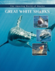 Great White Sharks - 9781422241264-thumb