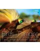 Birds of Paradise - 9781426209581-thumb