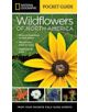 National Geographic Pocket Guide to Wildflowers of North America - 9781426212819-thumb