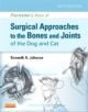 Piermattei's Atlas of Surgical Approaches to the Bones and Joints of the Dog and Cat - 9781437716344-thumb