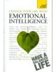 Change Your Life With Emotional Intelligence - 9781444100945-thumb