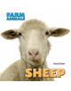 Farm Animals: Sheep - 9781445151083-thumb