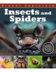 Visual Explorers: Insects and Spiders - 9781445168197-thumb