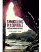 Smuggling in Cornwall - 9781445651682-thumb