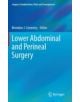 Lower Abdominal and Perineal Surgery - 9781447154686-thumb