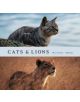 Cats and Lions - 9781452140490-thumb