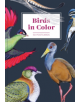 Birds in Color 50 Postcards - 9781452171876-thumb