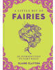 A Little Bit of Fairies - 9781454928720-thumb